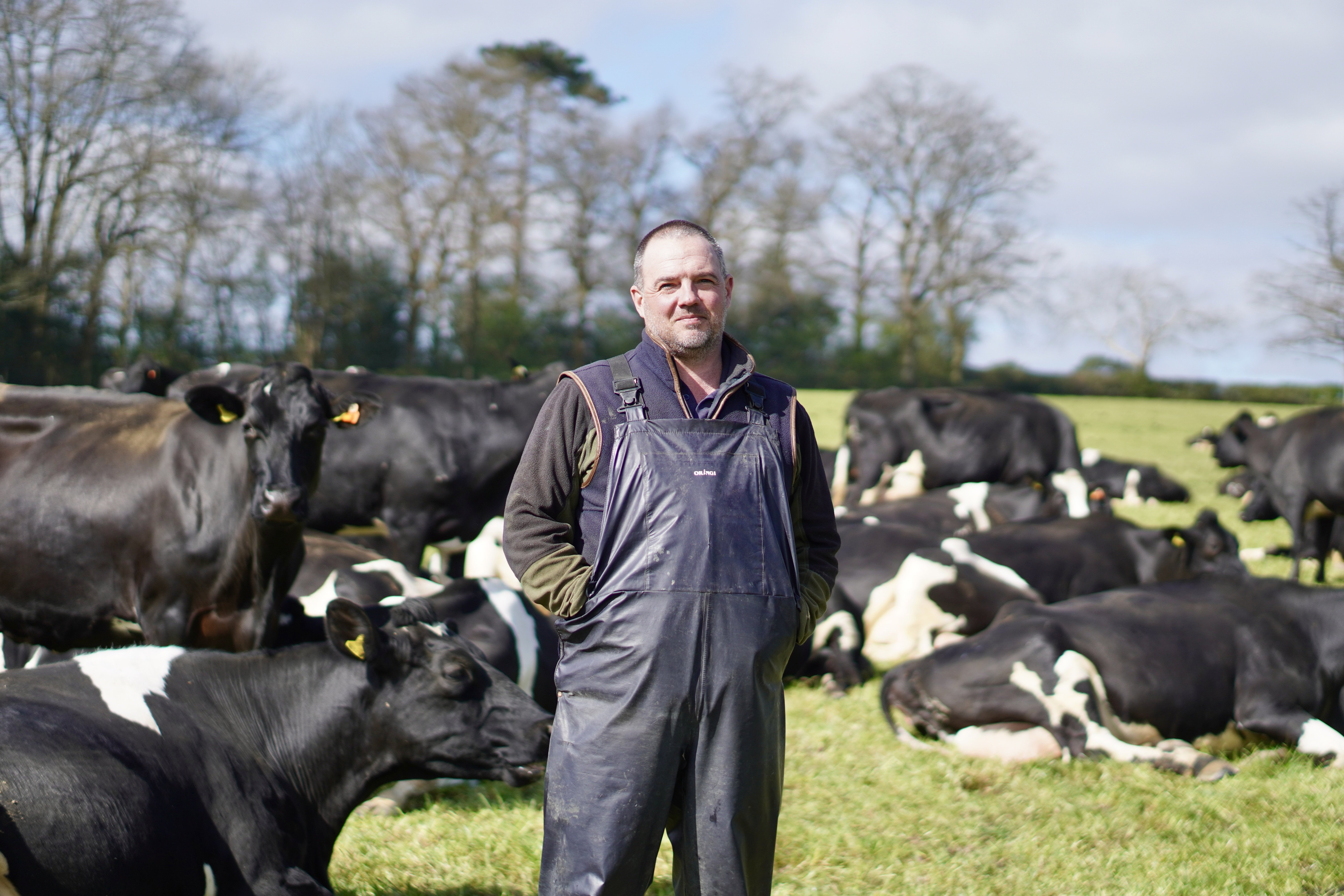dairy farmer in field with cows