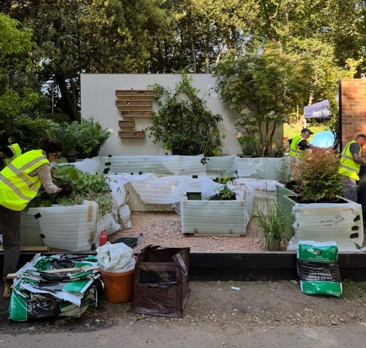 The Shout garden at Chelsea Flower Show, in the process of planting