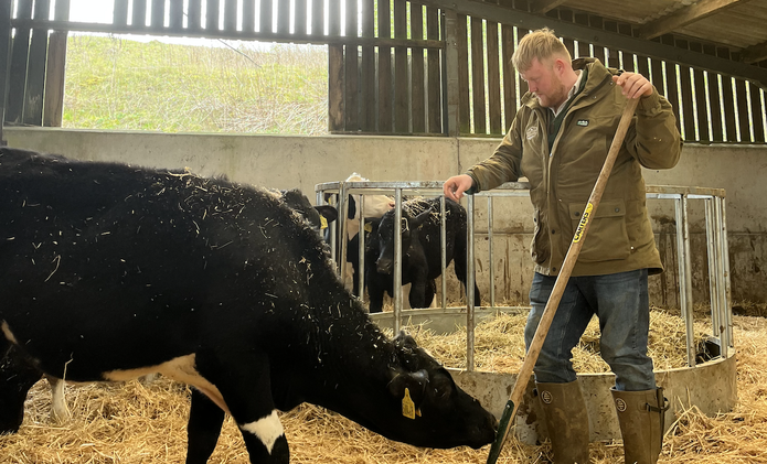 Farmer Kaleb in a barn with cows.png