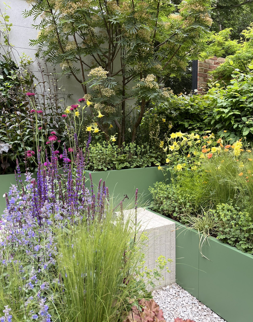 The colour wheel corner of the Shout garden at Chelsea Flower Show