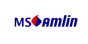 MS Amlin