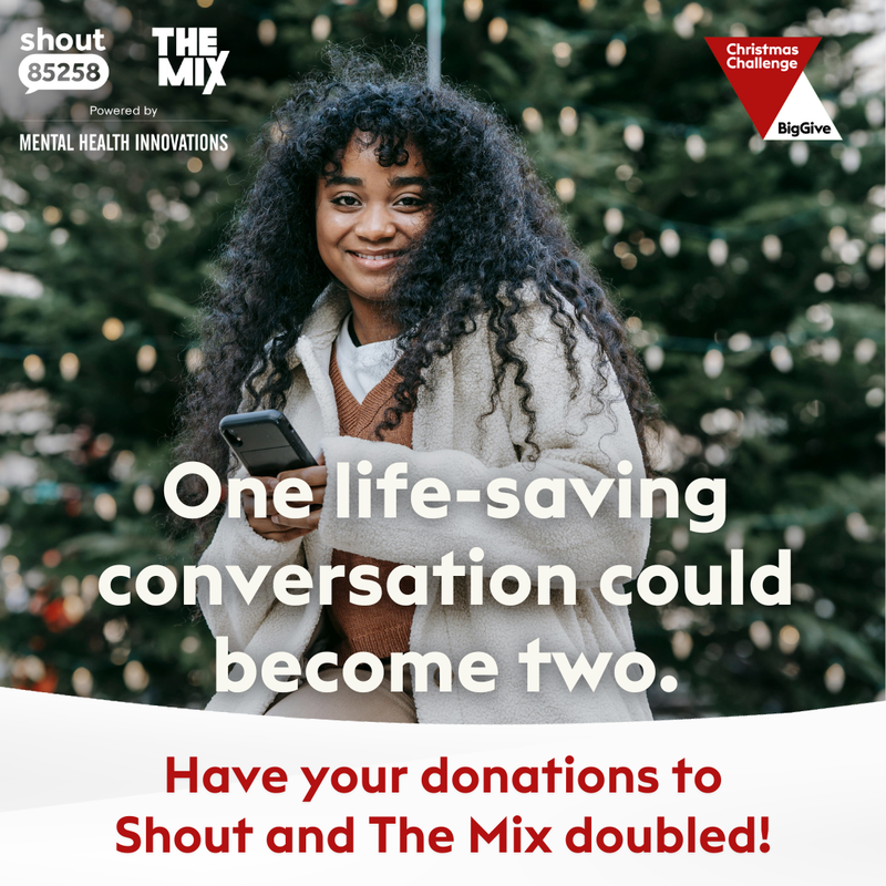 Big Give 1 - shout and the mix.png