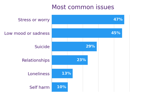 BSOL most common issues
